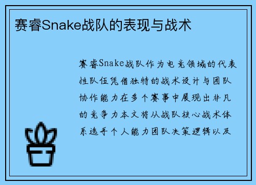 赛睿Snake战队的表现与战术